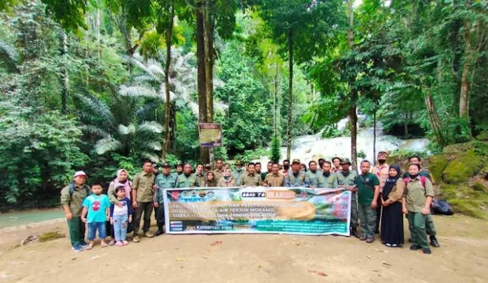 Sambut HKAN, BKSDA Sultra Gelar Aksi Bersih hingga Transplantasi Karang