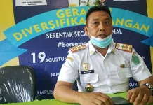 Dukung Diversifikasi Pangan, DKP Konawe Galakan Sehari Tanpa Beras Dukung Diversifikasi Pangan, DKP Konawe Galakan Sehari Tanpa Beras