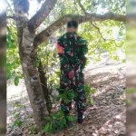 Seorang Babinsa di Bombana Ditemukan Tewas Tergantung di Pohon Seorang Babinsa di Bombana Ditemukan Tewas Tergantung di Pohon