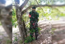 Seorang Babinsa di Bombana Ditemukan Tewas Tergantung di Pohon Seorang Babinsa di Bombana Ditemukan Tewas Tergantung di Pohon