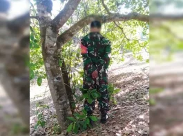 Seorang Babinsa di Bombana Ditemukan Tewas Tergantung di Pohon Seorang Babinsa di Bombana Ditemukan Tewas Tergantung di Pohon