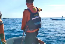 Basarnas Hentikan Pencarian Nelayan Asal Bombana yang Jatuh ke Laut Basarnas Hentikan Pencarian Nelayan Asal Bombana yang Jatuh ke Laut