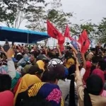 Bendera Partai Berkibar Saat Penjemputan Pasangan RAPI, PDIP Sultra : Tunggu Putusan DPP Bendera Partai Berkibar Saat Penjemputan Pasangan RAPI, PDIP Sultra : Tunggu Putusan DPP