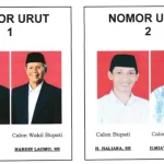 Paslon HATI Berharap Paslon HALO Tak Ajukan Gugatan Pilkada Wakatobi, HALO nomor 1, HATI nomor 2