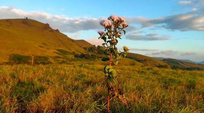 Air Terjun Bumbula Amajapo, Wisata Alam Kebangaan Buton Selatan