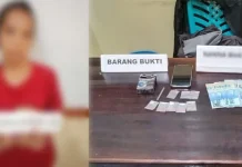 Jadi Pengedar Sabu, Seorang IRT di Kendari Dibekuk Polisi Jadi Pengedar Sabu, Seorang IRT di Kendari Dibekuk Polisi