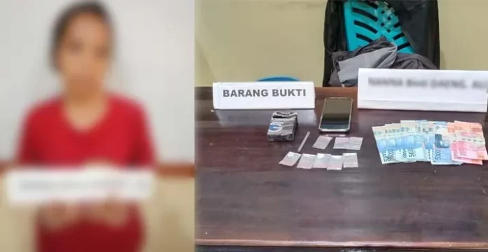 Jadi Pengedar Sabu, Seorang IRT di Kendari Dibekuk Polisi