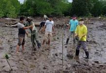 BPDASHL Sampara Pulihkan Kondisi Ekonomi di Sultra Melalui PKPM BPDASHL Sampara Pulihkan Kondisi Ekonomi di Sultra Melalui PKPM