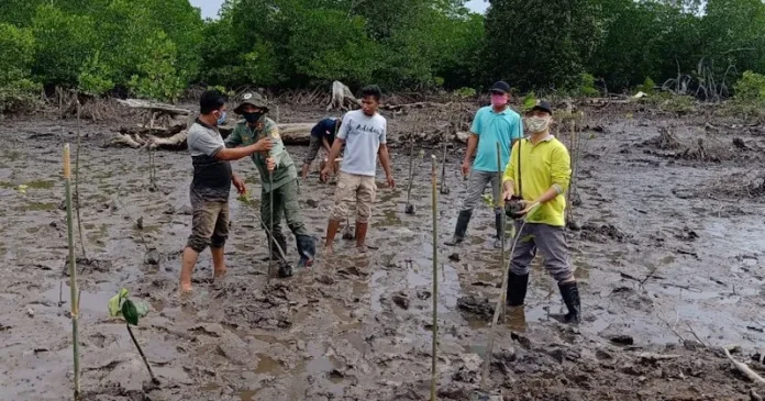 BPDASHL Sampara Pulihkan Kondisi Ekonomi di Sultra Melalui PKPM