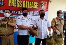Polisi OTT Pengecer 352 Tabung LPG 3 Kg di Konawe, Tersangka Belum Ditetapkan Polisi OTT Pengecer 352 Tabung LPG 3 Kg di Konawe, Tersangka Belum Ditetapkan