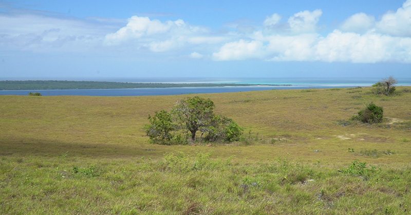 Fosil Kima Purba, Keajaiban Dunia di Wakatobi dari 'Puncak Surga'