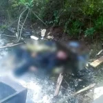 Pria Tak Bernyawa Ditemukan di Hutan Bakau Teluk Kendari Pria Tak Bernyawa Ditemukan di Hutan Bakau Teluk Kendari
