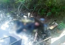 Pria Tak Bernyawa Ditemukan di Hutan Bakau Teluk Kendari Pria Tak Bernyawa Ditemukan di Hutan Bakau Teluk Kendari