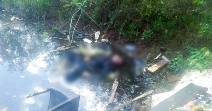 Pria Tak Bernyawa Ditemukan di Hutan Bakau Teluk Kendari