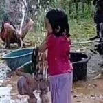 Setelah 30 Tahun, Kini Warga Kontunaga Nikmati Air Bersih Setelah 30 Tahun, Kini Warga Kontunaga Nikmati Air Bersih