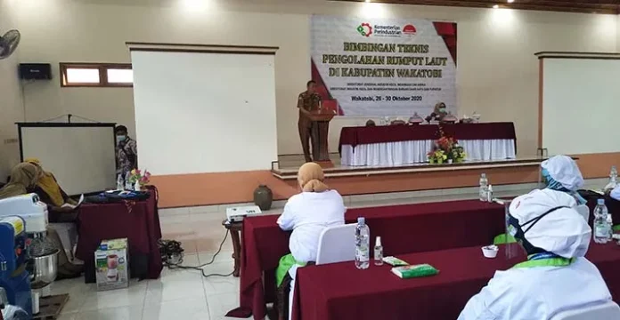 Kemenperin Latih Warga Wakatobi Olah Rumput Laut