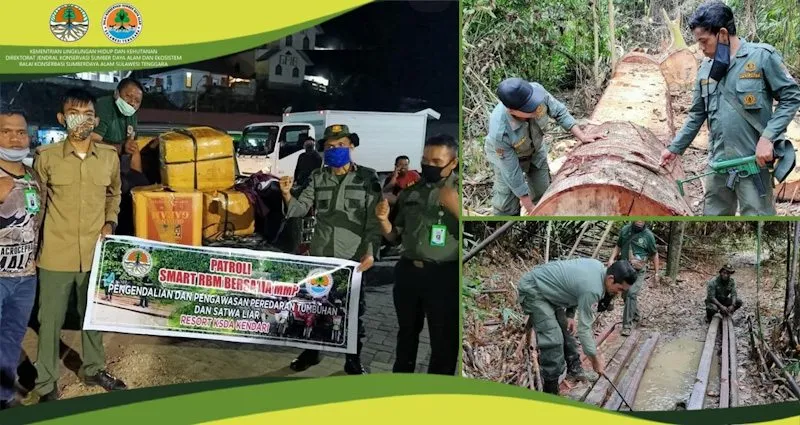 Aksi BKSDA Sultra di Tengah Pandemi Covid-19