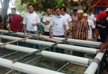 Pemkab Kolut Uji Coba Budi Daya Rumput Laut Sistem Keramba Pemkab Kolut Uji Coba Budi Daya Rumput Laut Sistem Keramba