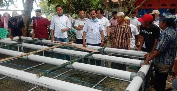 Pemkab Kolut Uji Coba Budi Daya Rumput Laut Sistem Keramba