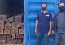 Perkara Illegal Logging yang Libatkan Oknum Polhut Dilimpahkan ke Kejari Kendari Perkara Illegal Logging yang Libatkan Oknum Polhut Dilimpahkan ke Kejari Kendari