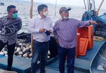 Investor Korea Akan Bangun Pelabuhan Terapung di Buton Investor Korea Akan Bangun Pelabuhan Terapung di Buton