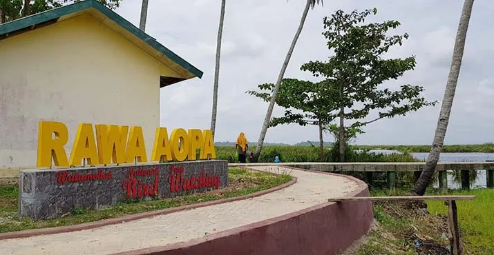 Wisata Pulau Harapan