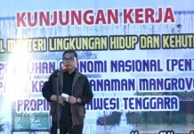 Wamen LHK Sebut Penanaman Mangrove Bagian dari Upaya Pemulihan Ekonomi Wakil Menteri Lingkungan Hidup dan Kehutanan (LHK) Alue Dohong