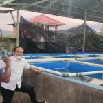 Kunjungi Budidaya Udang Vaname, Haerul Harap Kolaka Bisa Ekspor Kunjungi Budidaya Udang Vaname, Haerul Harap Kolaka Bisa Ekspor