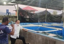 Kunjungi Budidaya Udang Vaname, Haerul Harap Kolaka Bisa Ekspor Kunjungi Budidaya Udang Vaname, Haerul Harap Kolaka Bisa Ekspor