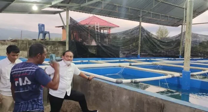 PSX_20201121_162153 Kunjungi Budidaya Udang Vaname, Haerul Harap Kolaka Bisa Ekspor