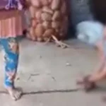 Penyekap Anak Yatim Ditahan, LBH Kendari Sarankan Diversi Penyekap Anak Yatim Ditahan, LBH Kendari Sarankan Diversi