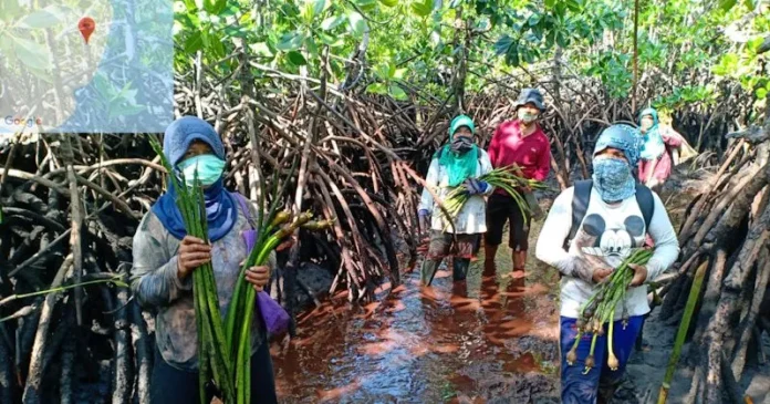 BKSDA Sultra Bantu Pulihkan Ekonomi Masyarakat di Tengah Pandemi Covid-19