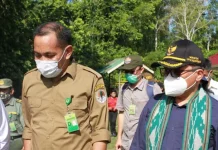 Wamen LHK Sebut TNRAW Bisa Jadi Wisata Baru untuk Sultra Wamen LHK Sebut TNRAW Bisa Jadi Wisata Baru untuk Sultra