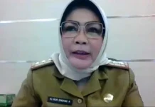 13 Ribu ASN Pemprov Dituntut Kreatif Selama Pandemi Covid-19 Sekretaris Daerah (Sekda) Sultra Nur Endang Abbas