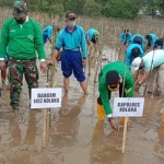 Pemkab Kolaka Gandeng PT Antam Tanam 4.000 Pohon Mangrove Pemkab Kolaka Gandeng PT Antam Tanam 4.000 Pohon Mangrove