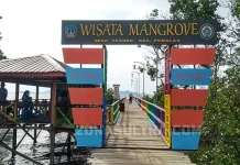 Menikmati Keindahan Wisata Mangrove Desa Totobo Kolaka Menikmati Keindahan Wisata Mangrove Desa Totobo Kolaka