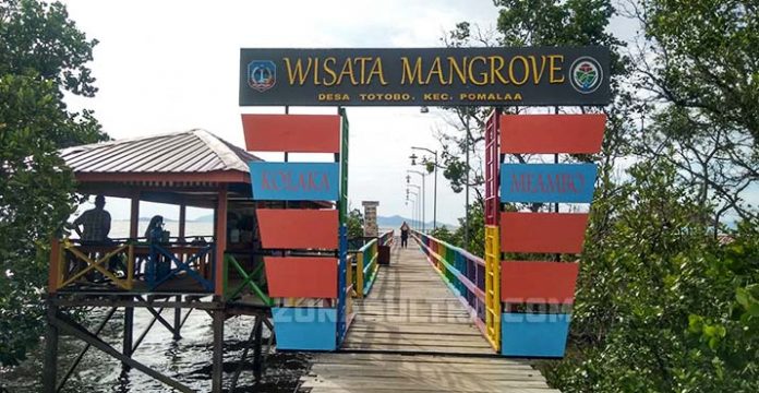 Menikmati Keindahan Wisata Mangrove Desa Totobo Kolaka