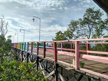 Menikmati Keindahan Wisata Mangrove Desa Totobo Kolaka