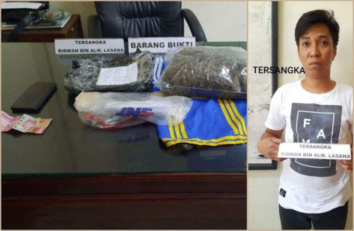 Polisi Gagalkan Penyelundupan 1,6 Kg Ganja ke PT VDNI