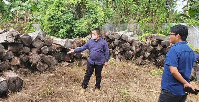 Tersangka Kasus Illegal Logging HPT di Busel Segera Disidang