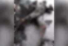 Satu TKA China Tewas Terbakar di PT OSS Konawe Satu TKA China Tewas Terbakar di PT OSS Konawe