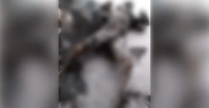 Satu TKA China Tewas Terbakar di PT OSS Konawe