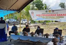 Pemkab Kolut Gelar Aksi Penanaman Bibit Kakao di Lahan 6,5 Hektare Pemkab Kolut Gelar Aksi Penanaman Bibit Kakao di Lahan 6,5 Hektare