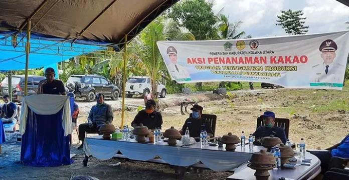 Pemkab Kolut Gelar Aksi Penanaman Bibit Kakao di Lahan 6,5 Hektare