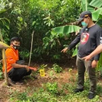 Pemuda di Buton Tewas Tersengat Listrik Jerat Babi Pemuda di Buton Tewas Tersengat Listrik Jerat Babi