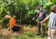 Pemuda di Buton Tewas Tersengat Listrik Jerat Babi Pemuda di Buton Tewas Tersengat Listrik Jerat Babi