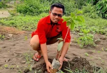 PDI Perjuangan Busel Tanam Ratusan Pohon di Bantaran Sungai Masiri PDI Perjuangan Busel Tanam Ratusan Pohon di Bantaran Sungai Masiri