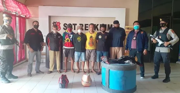 Polisi Gerebek Sabung Ayam di Kendari, Pelaku dan 9 Ekor Ayam Diamankan