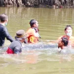 BKSDA Sultra Sebut Hiu Paus Lari dari Kawanan BKSDA Sultra Sebut Hiu Paus Lari dari Kawanan