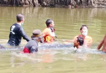 BKSDA Sultra Sebut Hiu Paus Lari dari Kawanan BKSDA Sultra Sebut Hiu Paus Lari dari Kawanan